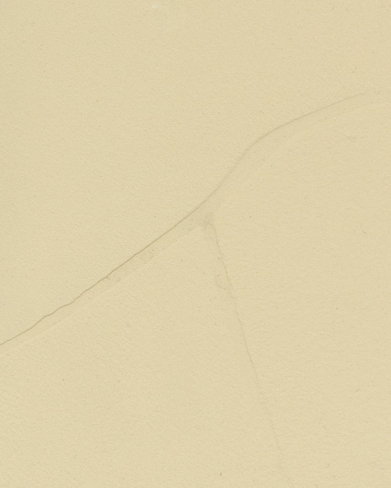 Beton cire kleur honing geel