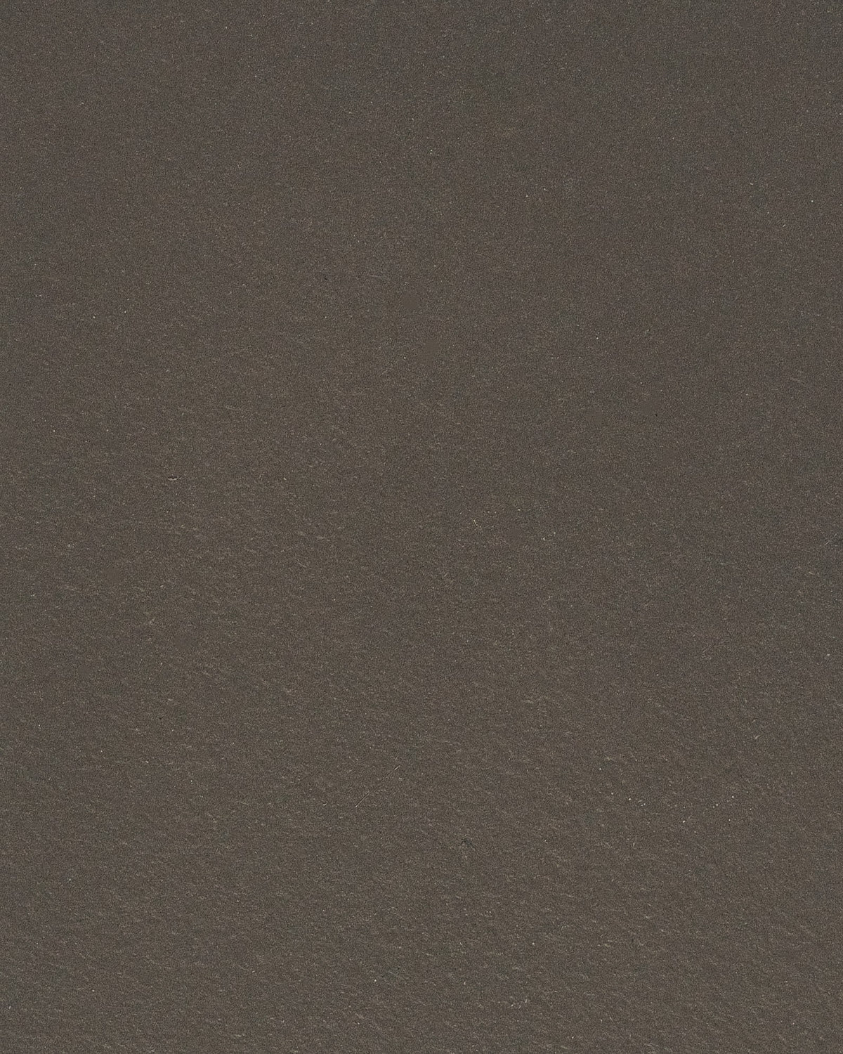 Beton ciré Taupe kleurstaal