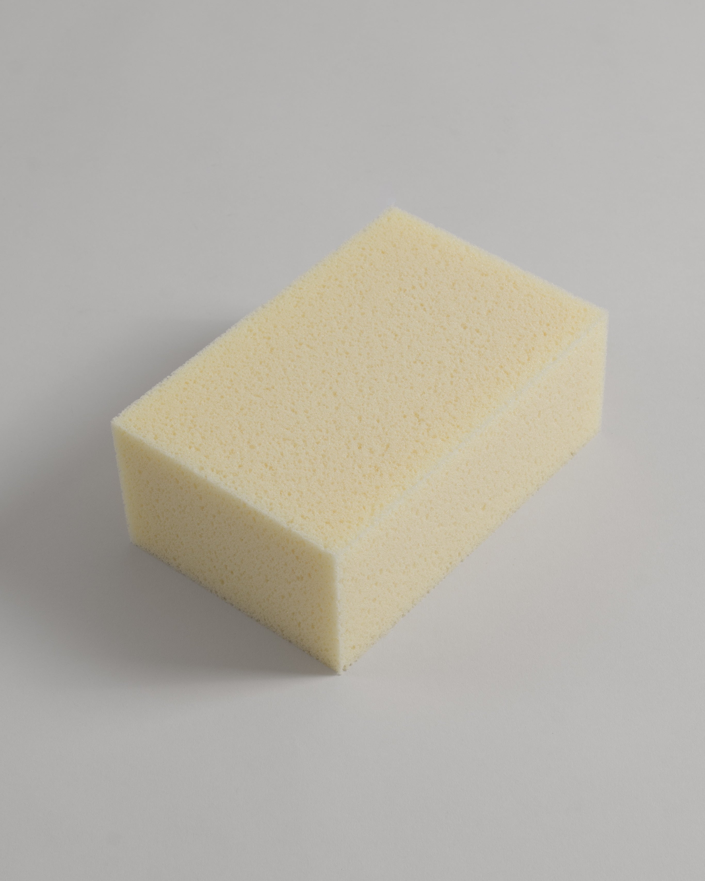 Sponge
