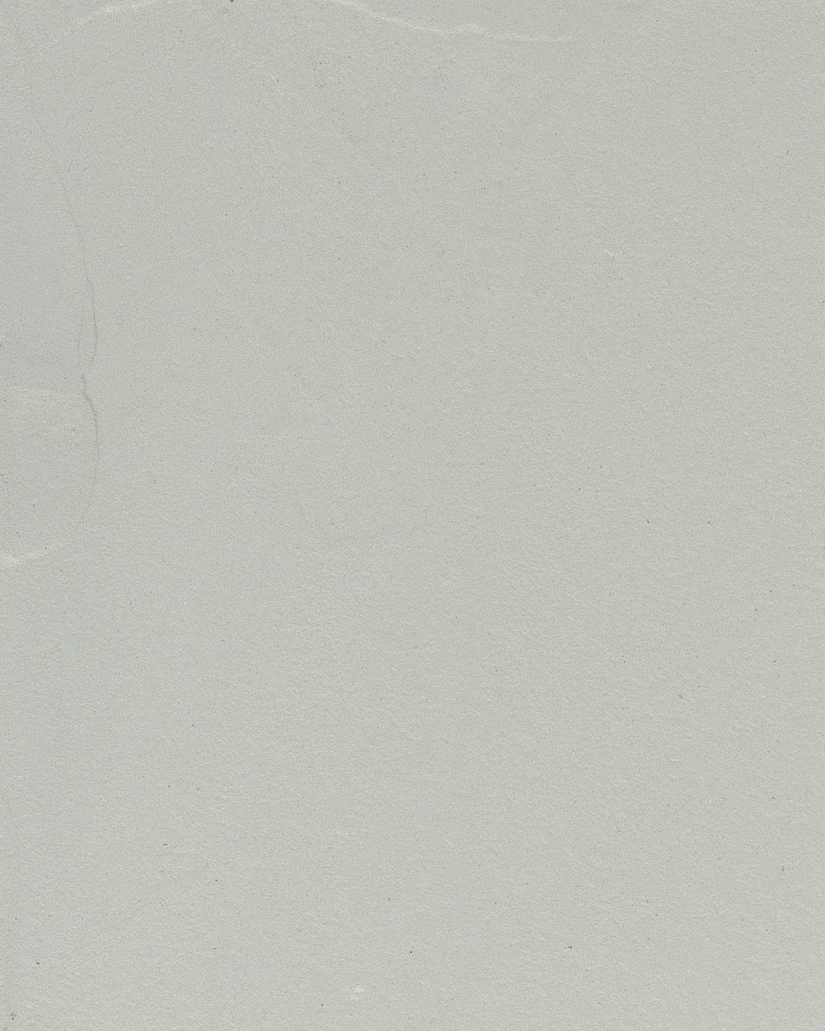 Beton ciré L ichgrijs kleurstaal