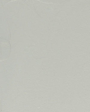 Beton cire Grijs Kleur