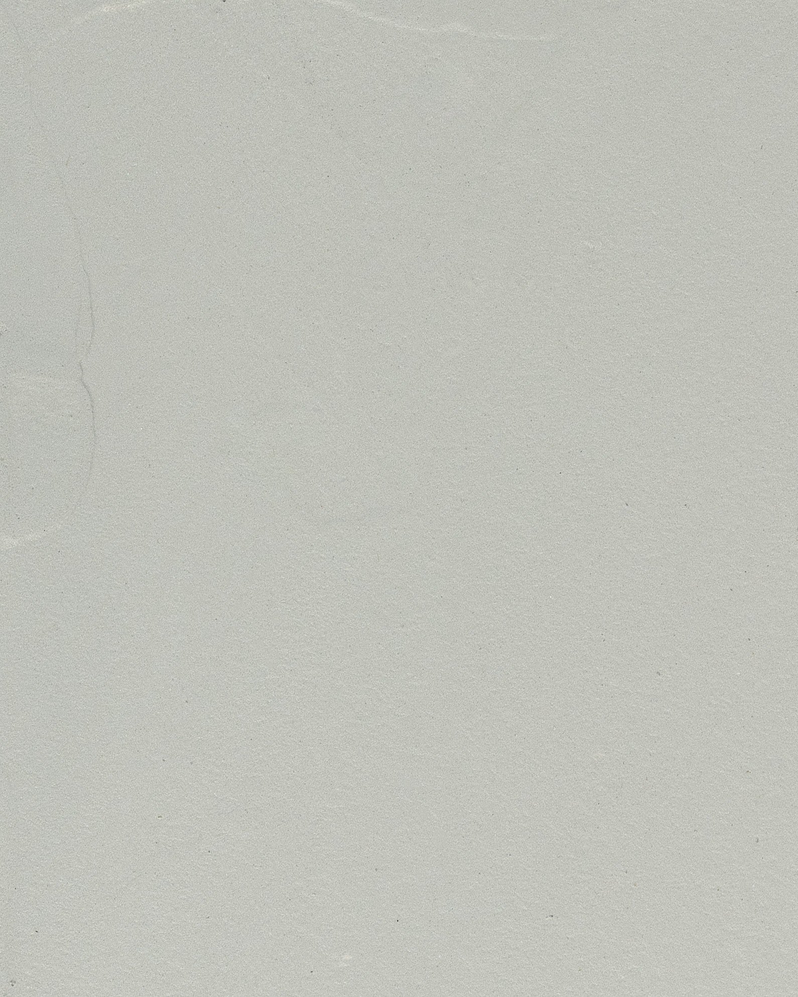 Beton cire Grijs Kleur