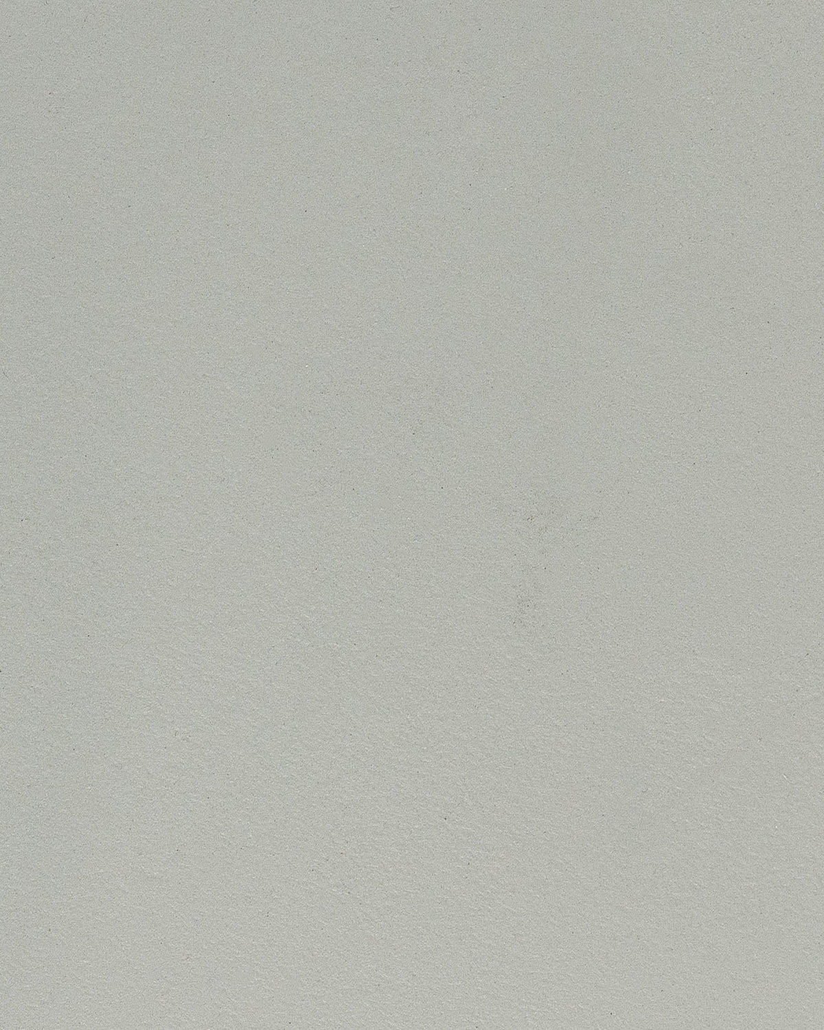 Beton ciré Muisgrijs kleurstaal