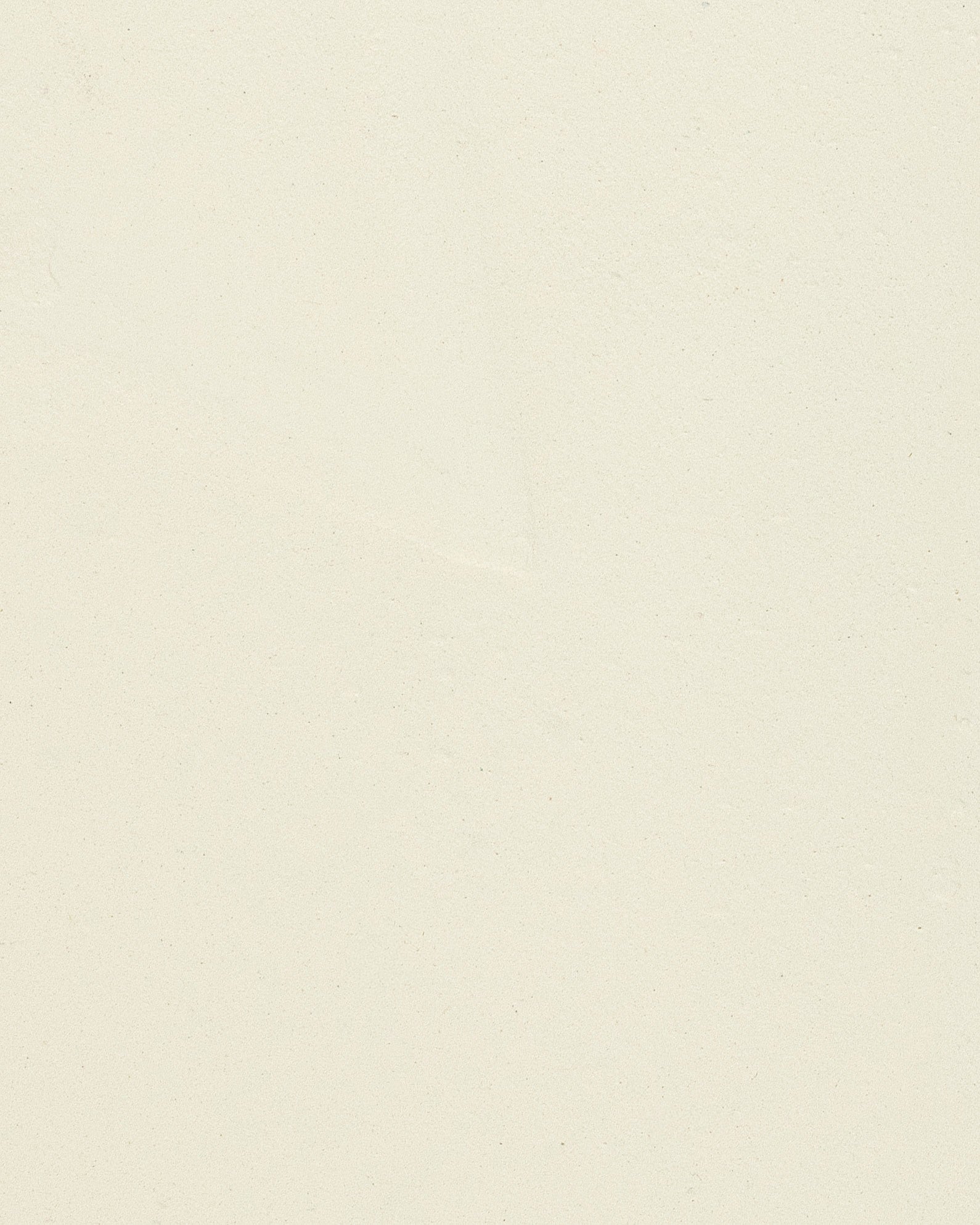 beton cire kleur naturel