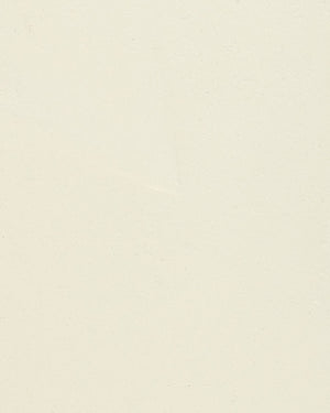 beton cire kleur naturel