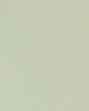Beton cire olijfgroen kleur