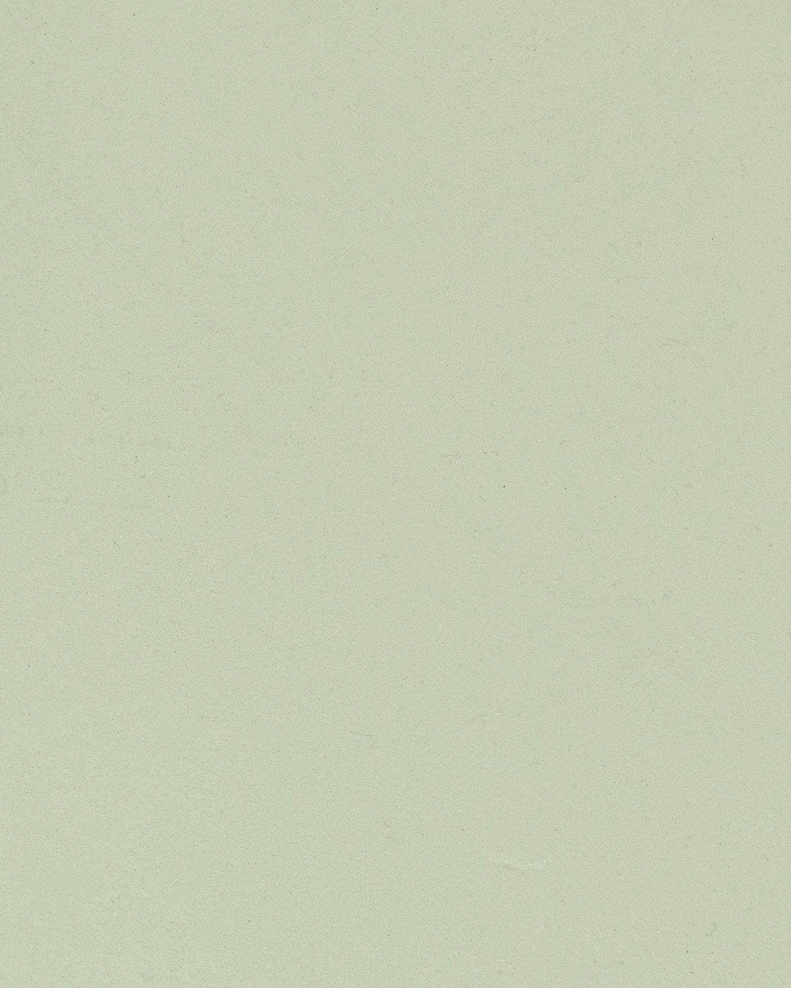 Beton cire olijfgroen kleur